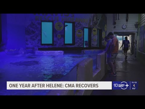 Clearwater Marine Aquarium recovers a year after Hurricane Helene - YouTube