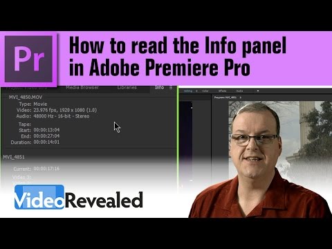 How to read the Info panel in Adobe Premiere Pro