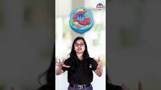 Why are lysosomes called the suicide bags of the cell? #ytshorts #byjus