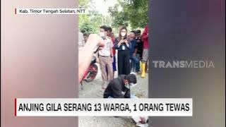 Anjing Gila Serang 13 Warga, 1 Orang tewas | REDAKSI MALAM (30/05/23)