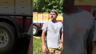 Sourwood Update 1700’ +