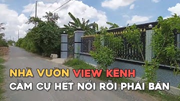 Ms 0238 (Đã bán) Nhà vườn lộ nhựa view kênh 408 m giá 1,5 tỷ xã Bình Xuân TP Gò Công