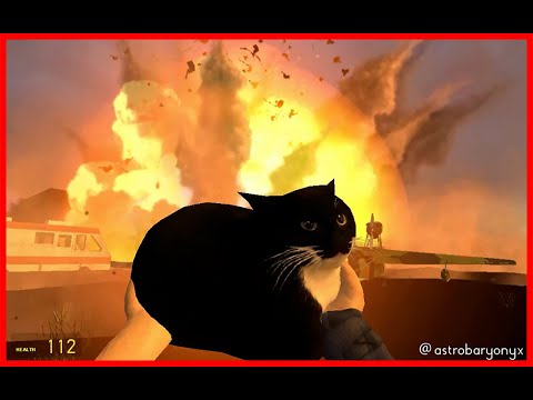 Maxwell cat walks away from explosion  /   gmod  maxwell