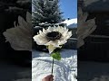 A little bit of paper sunshine on a snowy day! #papersunflower #papercraft