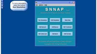 SNNAP Tutorial: Run Simulation