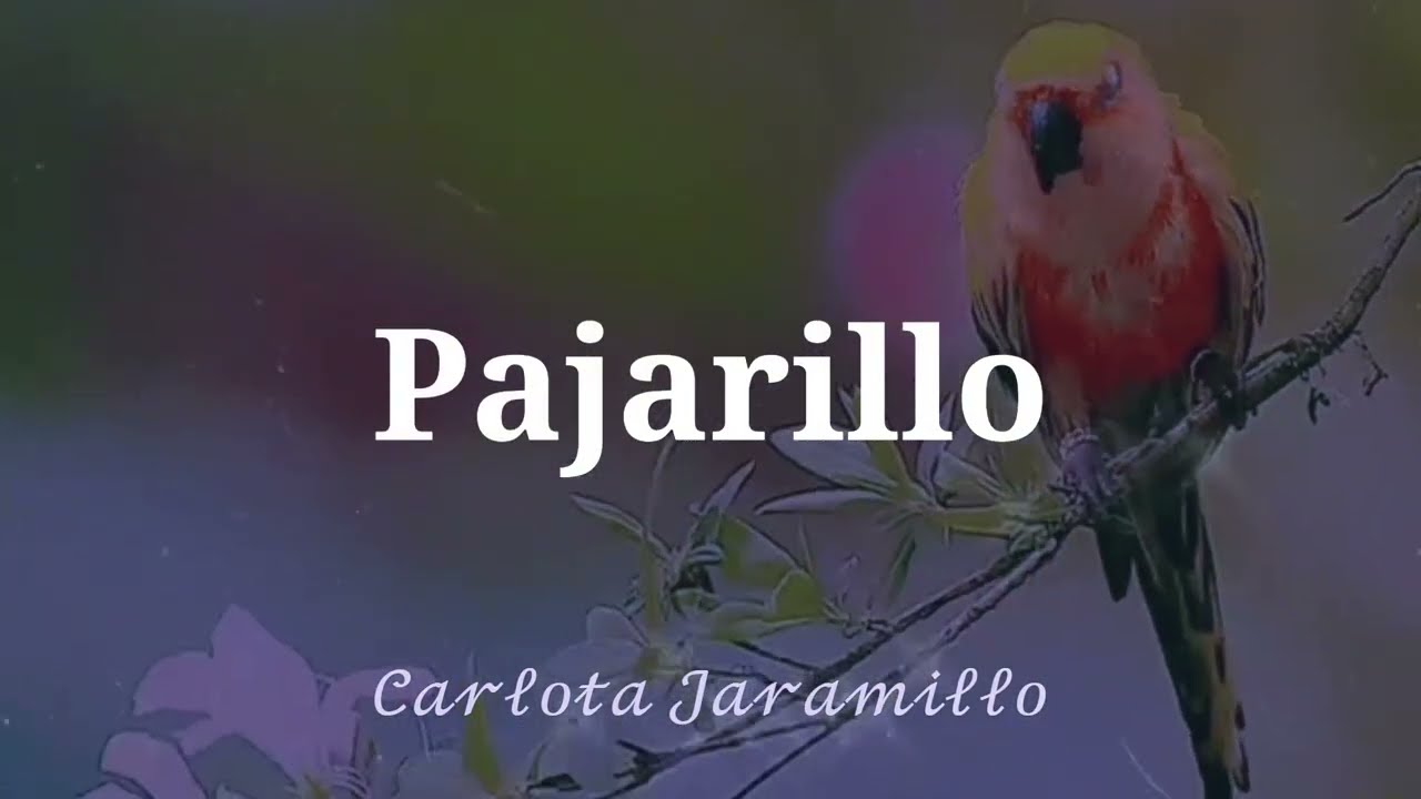 PAJARILLO ~ Carlota Jaramillo🌷 (subtitulada)