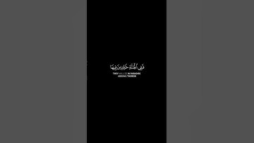 قراءه هادئه بصوت القارئ الشيخ ماهر المعيقلي #قرآن #اكسبلور #قران_كريم #لايك #حالات_واتس #يوم_الجمعة