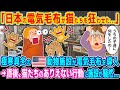 「日本の電気毛布が猫たちを狂わせた...」極寒真冬のアメリカの動物保護施設が電気毛布を導入→直後、猫たちのありえない行動に施設が騒然...【2ch海外の反応】【ゆっくり解説】