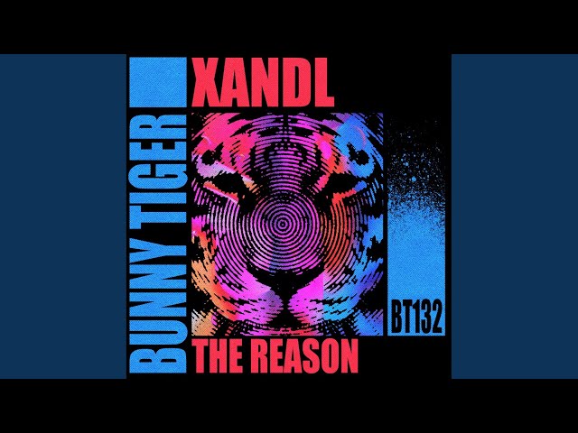 Xandl - The Reason