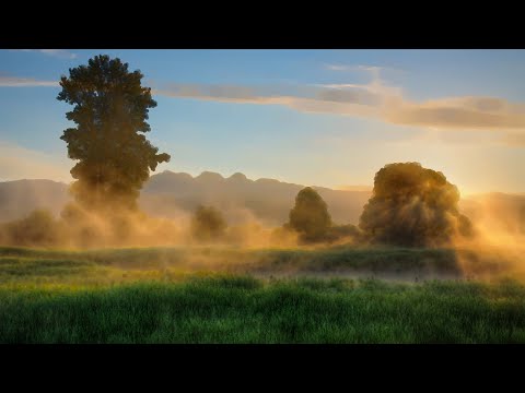 The First Rays of the Sun • Pointillism Drawing Animation Generative Art