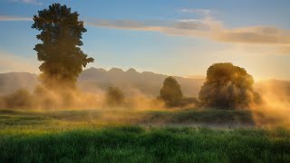 The First Rays of the Sun • Pointillism Drawing Animation Generative Art
