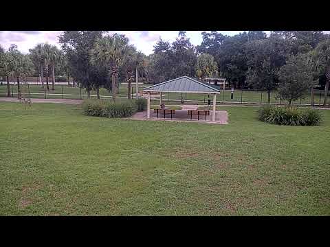 Cinquez Dog Park - Center Cam