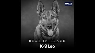 Watch live: Funeral for Marion County Deputy K-9 Leo, killed in line of duty