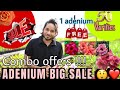 ഓരോ COMBO OFFER ഒപ്പം FREE ഒരു ADENIUM PLANT ഗ്രാഫറ്റിംഗ് ആയിട്ട് ❤️😍🪴 പിന്നെ വളം കൂടെ ആയാലോ 😍🪴