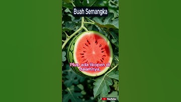 Buah Semangka #shorts #funny #subscribe #trending #youtuber #youtube #subscriber #viral