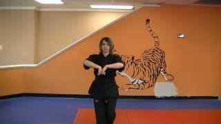 Long Form Four - Kenpo Forms and Sets