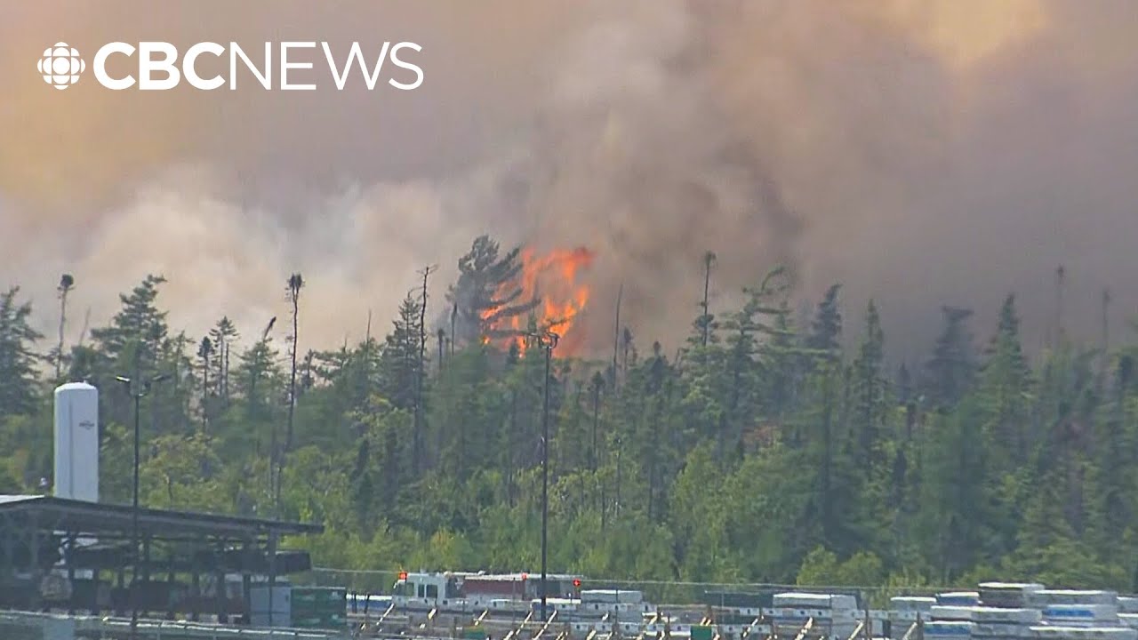 Does your home insurance include wildfire coverage?