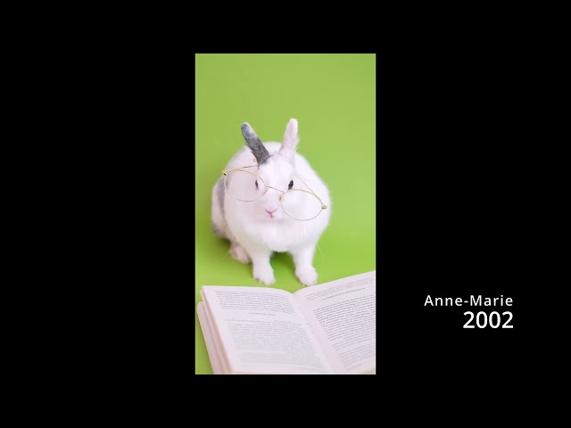 2002 - Anne-Marie - Reverb - Slowed class=