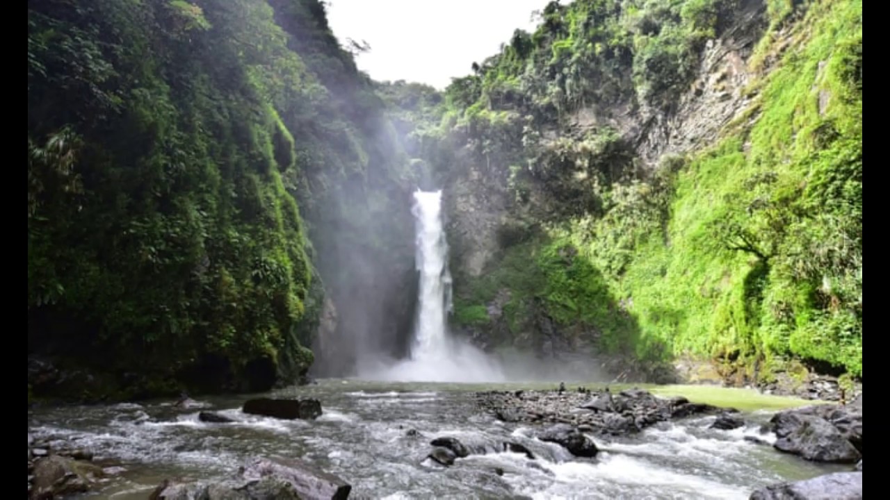 Surah At - Tin - YouTube