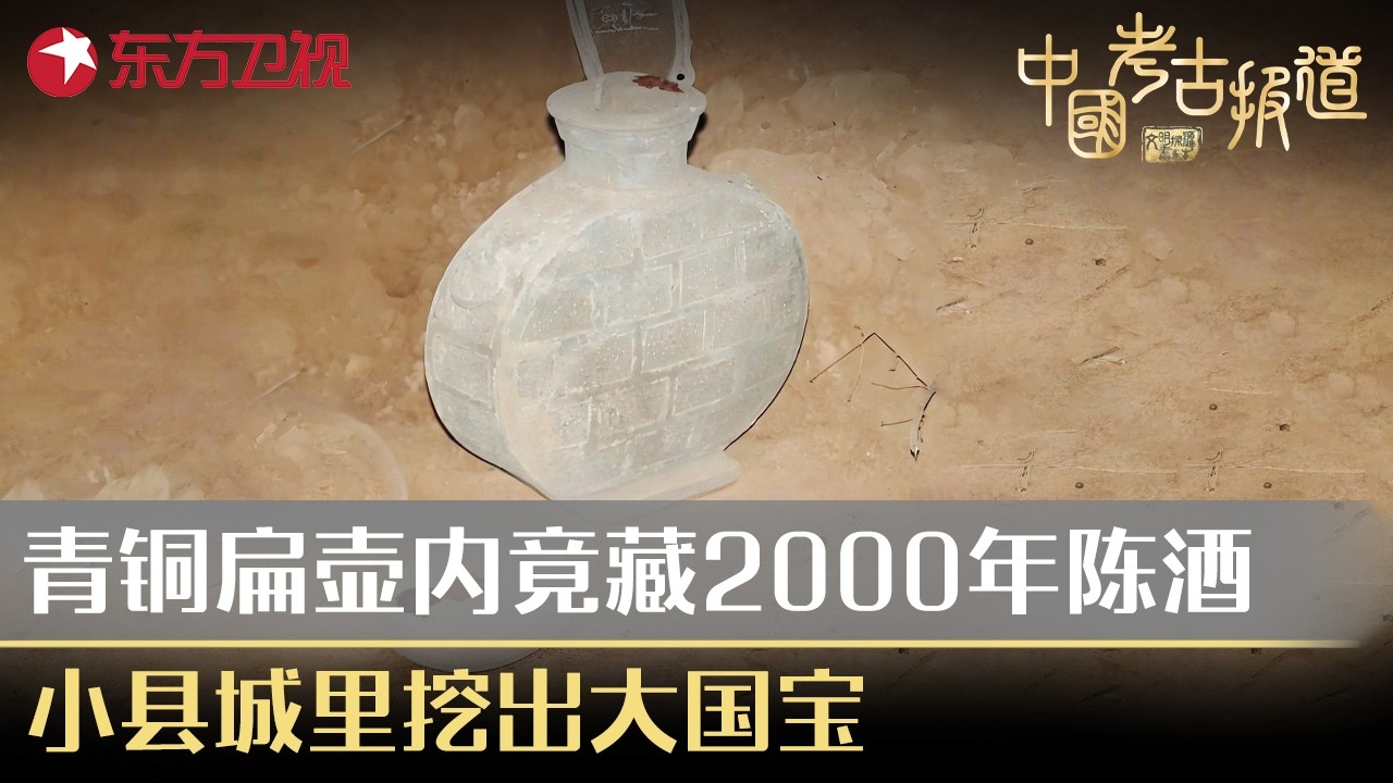 2000年前的青铜扁壶竟酿有美酒？！小县城里挖出了惊天大国宝！#中国