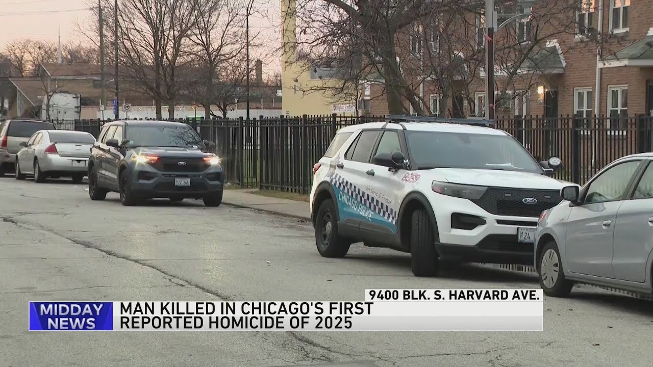 Man, 29, found dead of gunshot wounds on South Side in 1st reported ...