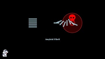 Prions Explained - Structure, Replication, and Diseases