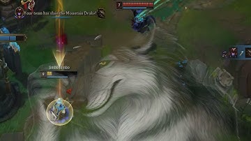 animals warwick meme