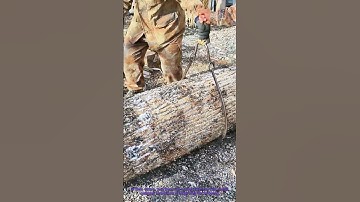 Moving Large Logs with Curved Metal Clamps - Ingenious Logging Technique