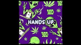 HANDS UP!!! - NANDO PAU