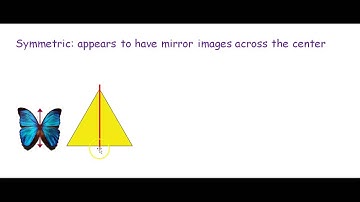 Graphical Displays of Univariate Data