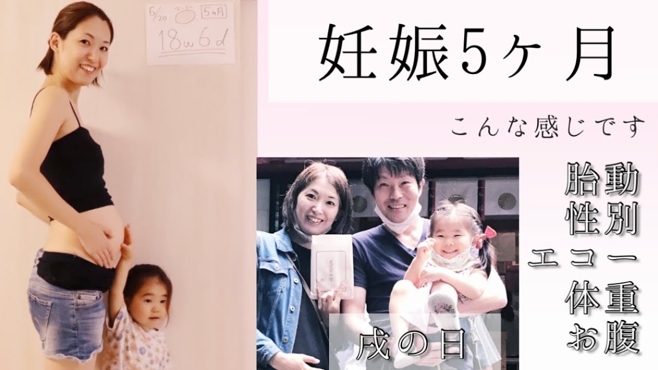 妊娠五 ヶ月胎動 – 妊娠5ヶ月 胎児の様子 : 妊娠5ヶ月後半の胎動回数 – GKQZ