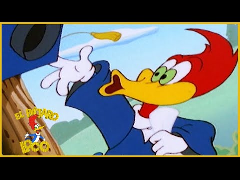El Pajaro Loco