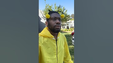 Bees for absolutely no reason at all