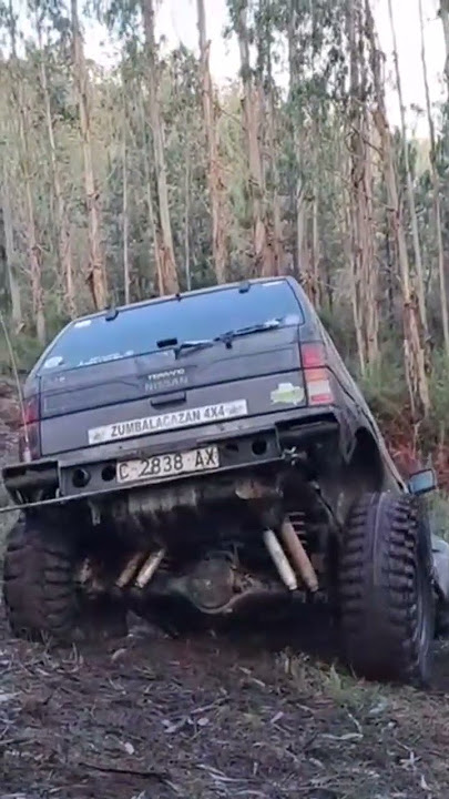 Nissan Terrano II de primera generación en una zona de cañas, barro y agua  - Revista 4x4