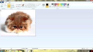 How to Pixelate a picture with Paint!