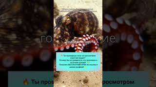 Эволюция мозга у позвоночных #эволюция #мозг #заработок #короткие_видео #бизнес #креативность #успех
