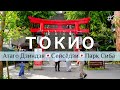 Места в Токио, о которых не знают туристы | Лестница удачи | Дзен в центре мегаполиса | Токио #3