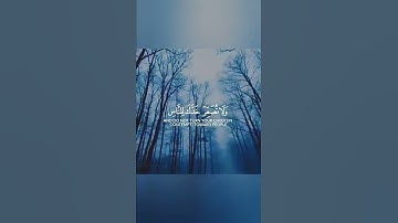 وصايا لقمان لابنه 🍁حالات واتس اب قران ❤حالات واتس قرأن 🍃 تلاوة خاشعة 💚 Quran Status💙اية قرانية قصيره