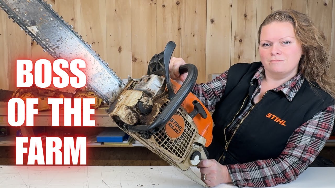 Ты мерзкое, гнилое животное: Stihl MS291 FARM BOSS!