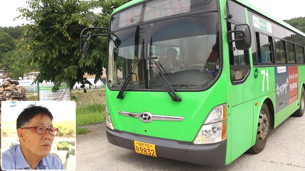 59초TV｜대전시내버스이야기 1편-푸르름을 담고 달리는 대전 시내버스