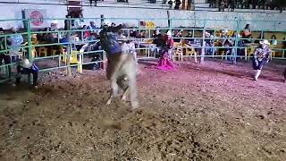 ¡IMPRESIONANTE TORETE! NIETO DEL GUERRERO ROJO