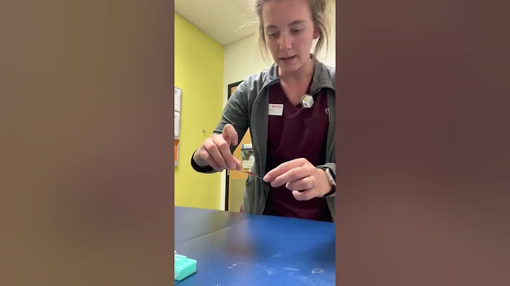 Skill #26, Part 1, Rebecca Potter, 55186017