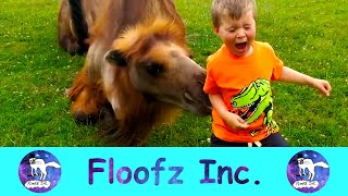 The Funniest Zoo Animal Moments Caught on Camera! by Floofz Inc. 126 views 2 years ago 8 minutes, 42 seconds