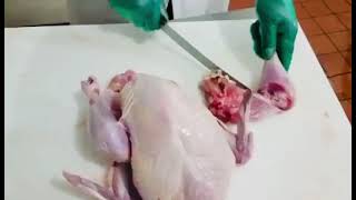 Detailed Breaking down a whole turkey (8 pieces)at home Profile