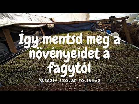 Videó: Hogyan Kell újraszámolni A Fűtést