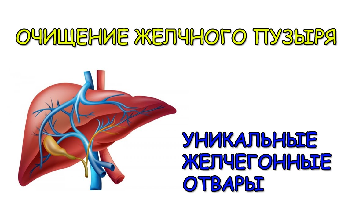 Желчегонные продукты при перегибе желчного пузыря. Очистка желчного пузыря. Очистка печени и желчевыводящих. Очистка печень желчный. Очищение желчного пузыря препараты.