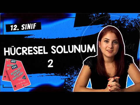 12) HÜCRESEL SOLUNUM 2 | 12. SINIF | DETAYLI KONU ANLATIMI | AYT 2024