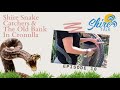 Snake catchers  the old bank in cronulla  shire talk tv  episode 10