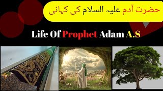 Hazrat Adam (A.S) ka waqia | First Prophet| Adam and Hawwa