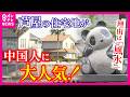 「仲良い人を呼び寄せている」芦屋の高級住宅地を“中国人”が買い占め！？　なぜ大人気？　芦屋の海側は住宅価格爆上がり　理由は“風水”　一方でポイ捨てやゴミ出し“トラブル”も｜newsランナー〈カンテレ〉